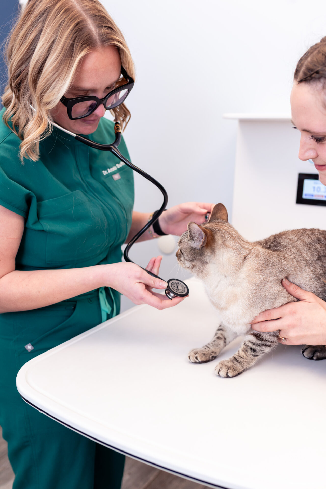 CharlestonAH (56 of 70)