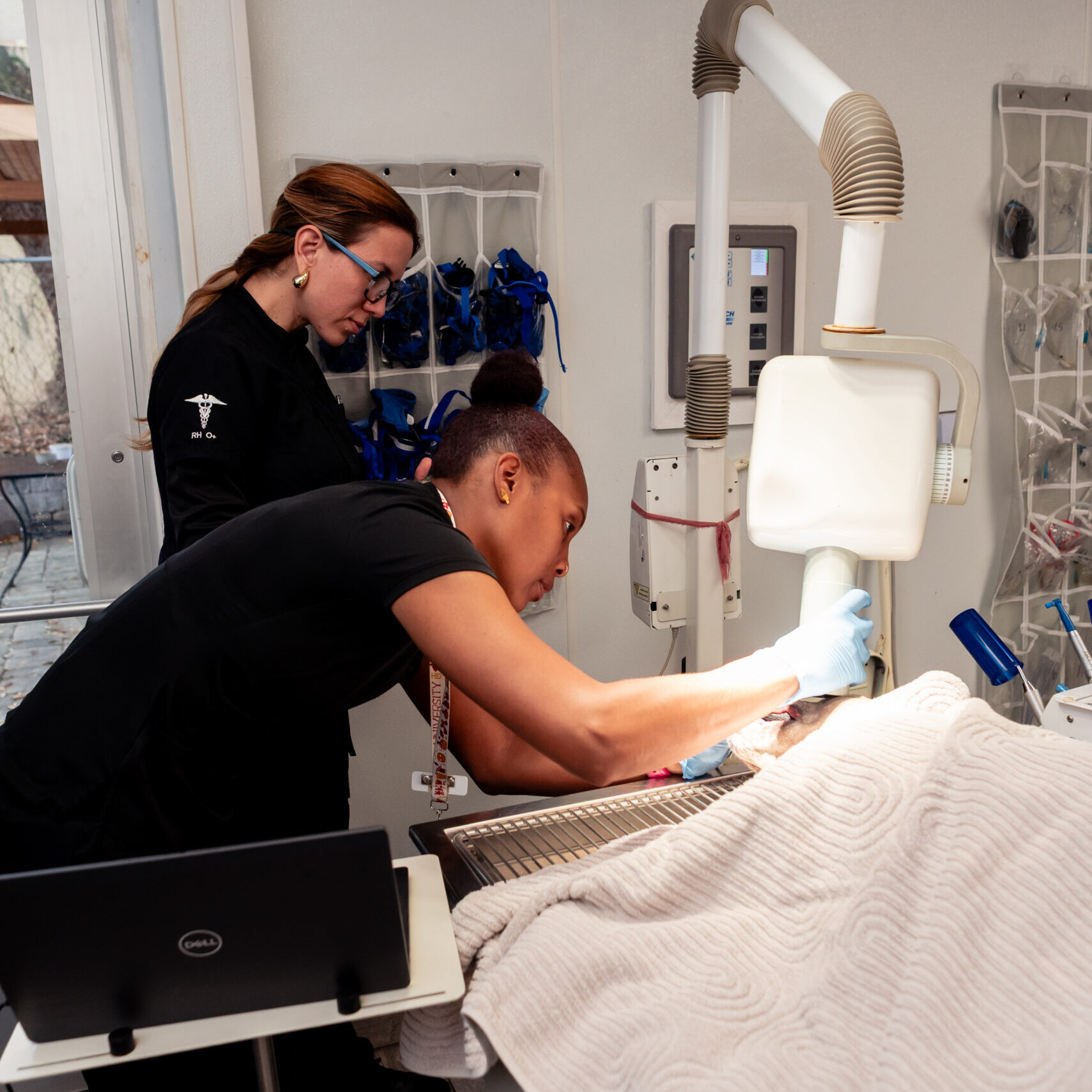 CharlestonAH (13 of 70)