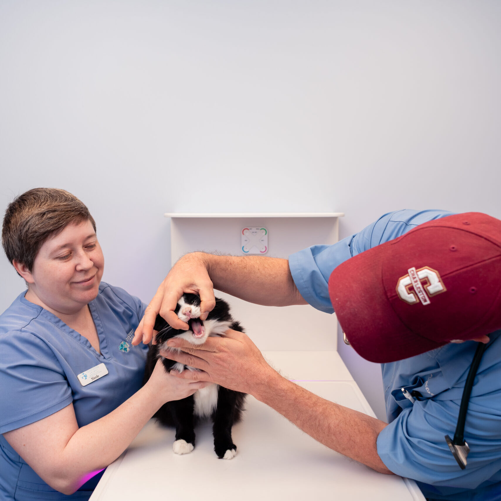 CharlestonAH (42 of 70)