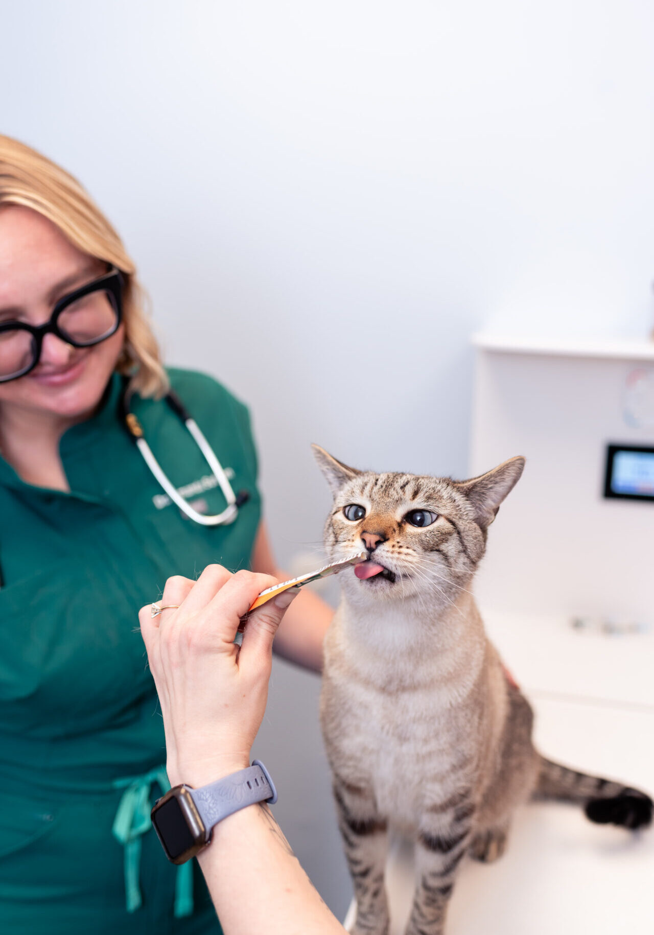 CharlestonAH (59 of 70)